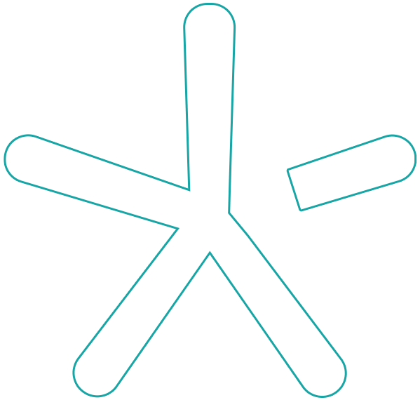 star outline 1
